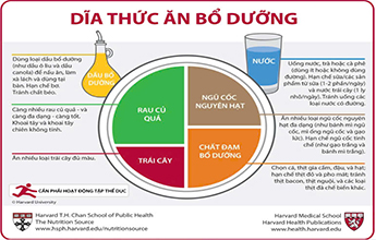 Dĩa Thức Ăn Bổ Dưỡng (Vietnamese)