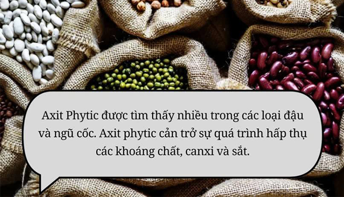 Chất kháng dinh dưỡng là gì? 9 chất kháng dinh dưỡng có trong thực phẩm